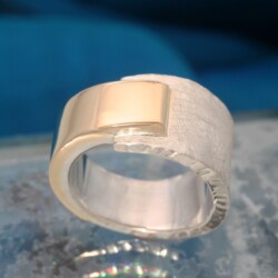 Geelgouden en zilveren ring