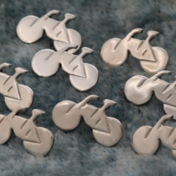 Nationaal fietscongres