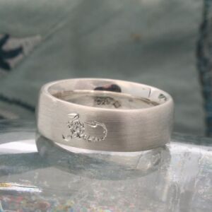 Schorpioen ring