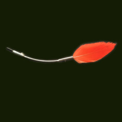 Zilveren broche met zwarte toermalijn en een veer van een rode ibis. Lengte 140 mm.  Prijs: €150,-