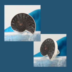 Geweldig stoer, een zilveren ring met een ammoniet van 5 cm breed. Ammoniet